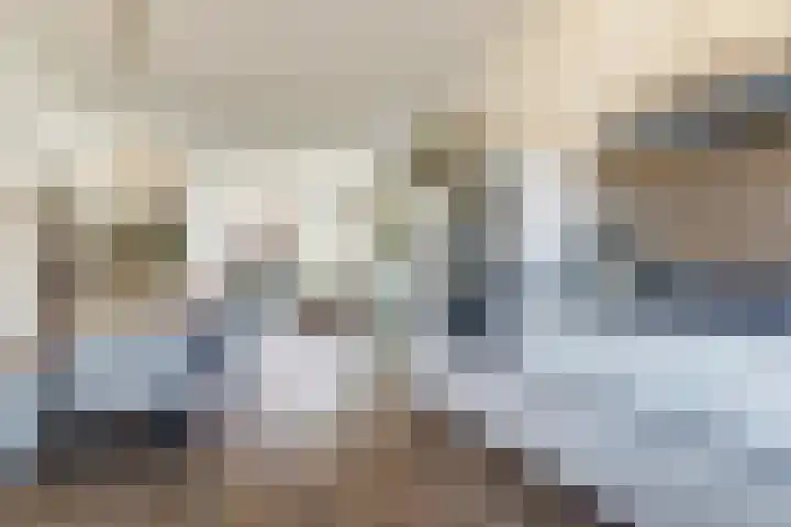 Stier 36 Elst thumbnail 10