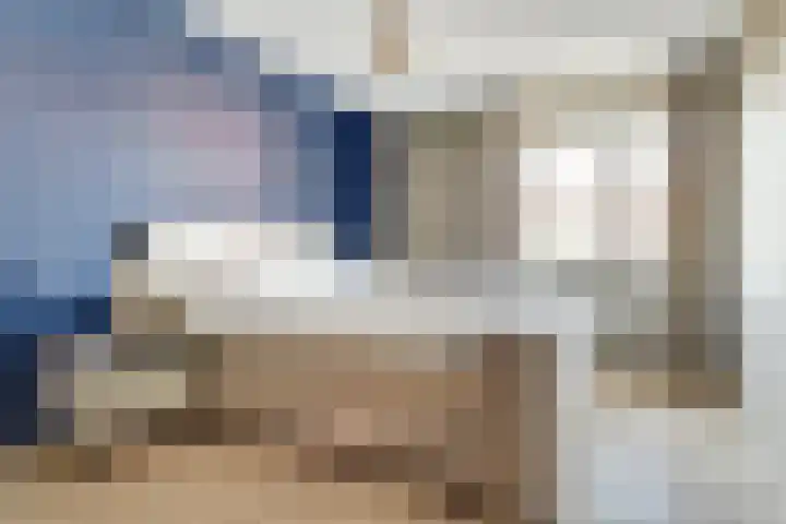 Stier 36 Elst thumbnail 13