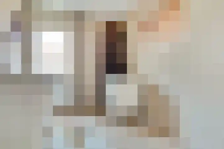 Stier 36 Elst thumbnail 17
