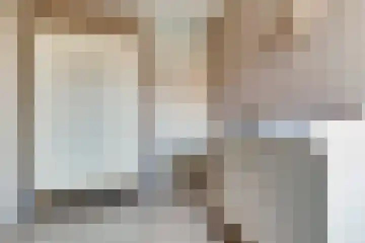 Stier 36 Elst thumbnail 18