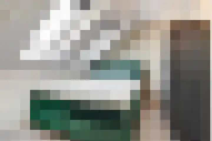 Stier 36 Elst thumbnail 24