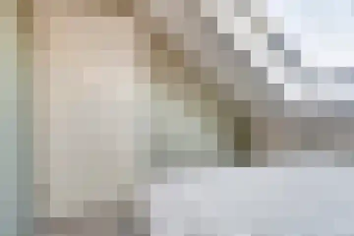 Stier 36 Elst thumbnail 25