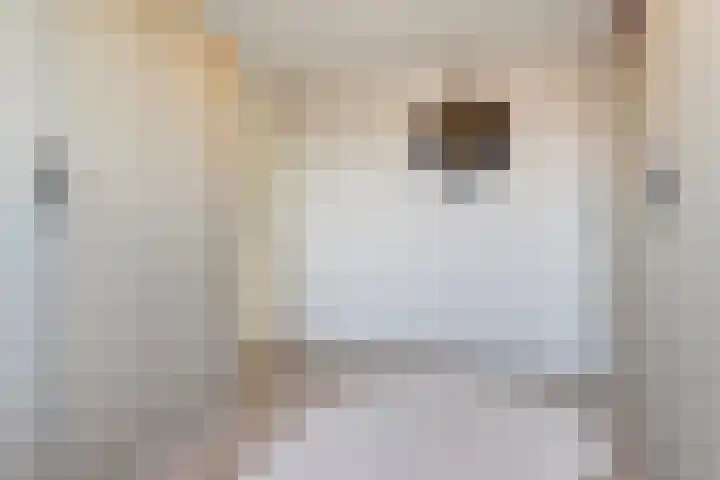 Stier 36 Elst thumbnail 27