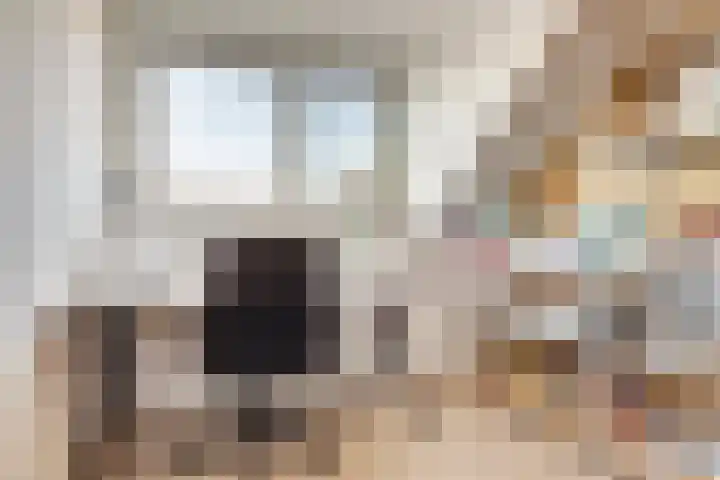 Stier 36 Elst thumbnail 28