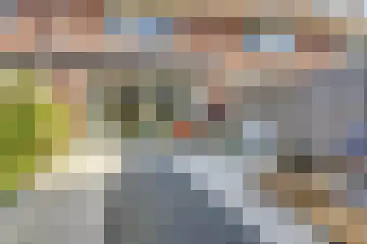 Stier 36 Elst thumbnail 30