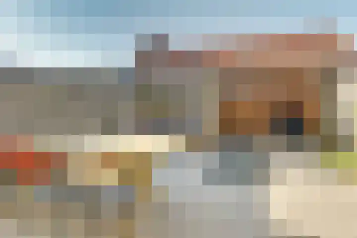Stier 36 Elst thumbnail 31