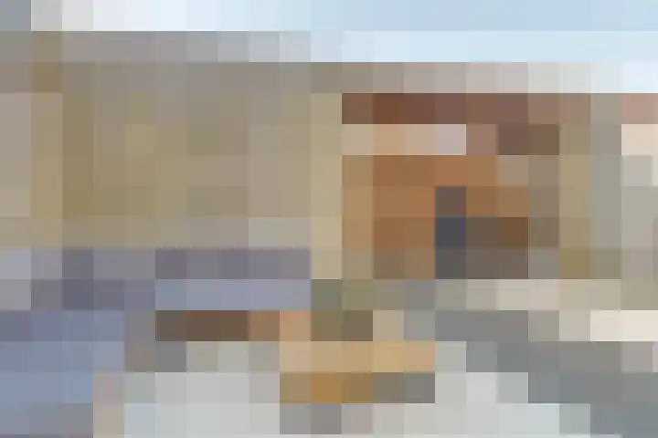 Stier 36 Elst thumbnail 32