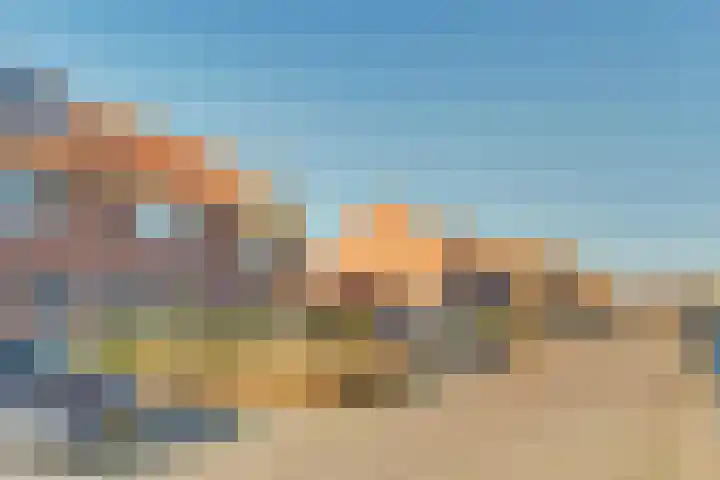 Stier 36 Elst thumbnail 33