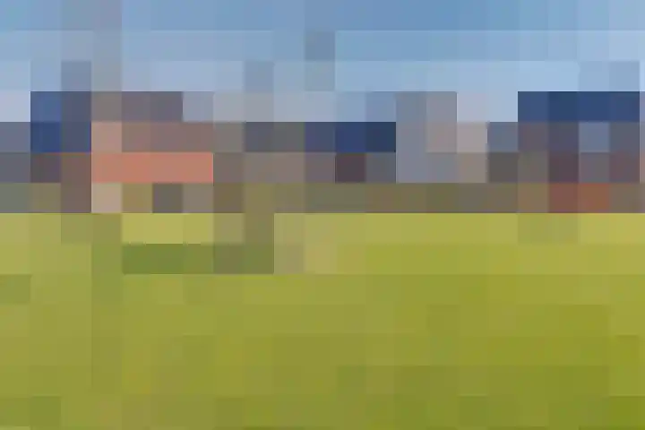Stier 36 Elst thumbnail 34