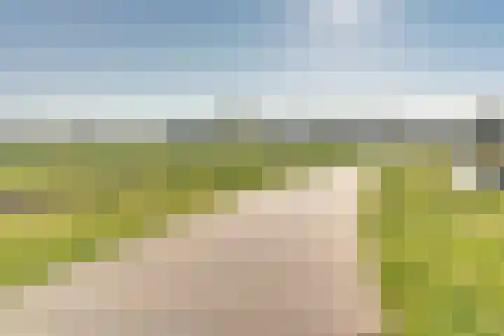 Stier 36 Elst thumbnail 35