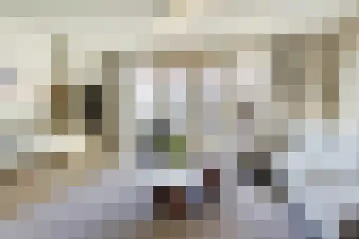 Stier 36 Elst thumbnail 4