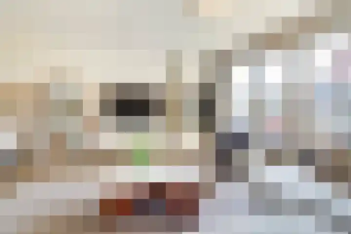 Stier 36 Elst thumbnail 5