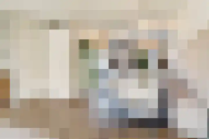 Stier 36 Elst thumbnail 7