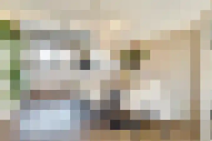 Stier 36 Elst thumbnail 8