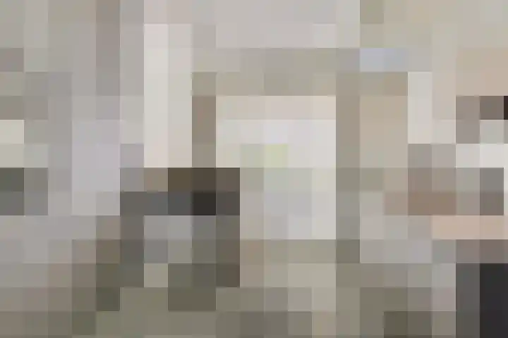 Stier 9 Elst thumbnail 11