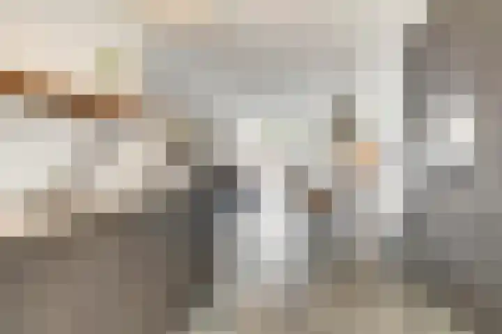 Stier 9 Elst thumbnail 13