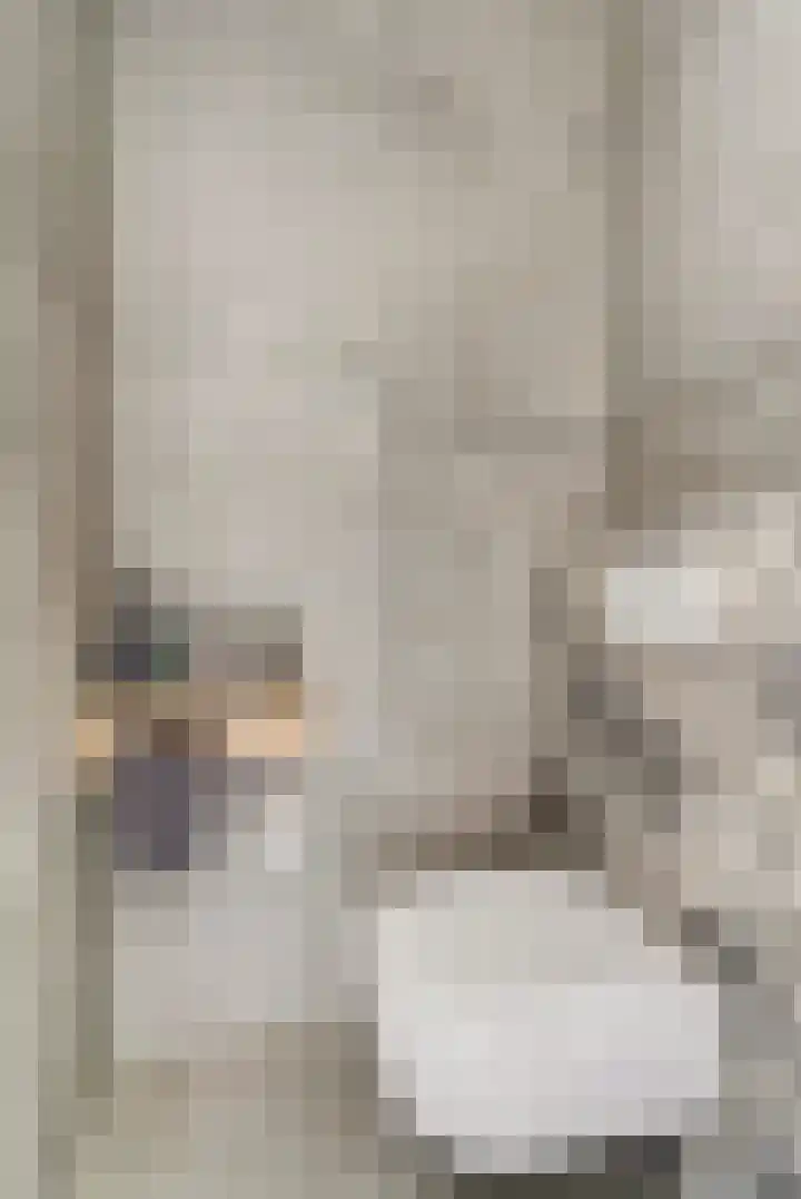 Stier 9 Elst thumbnail 14