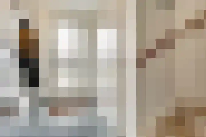 Stier 9 Elst thumbnail 15