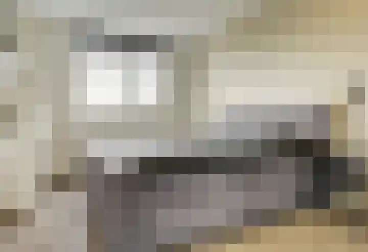 Stier 9 Elst thumbnail 16