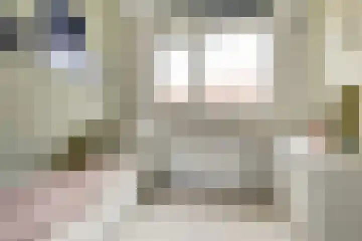 Stier 9 Elst thumbnail 18