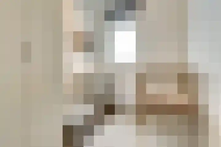 Stier 9 Elst thumbnail 20