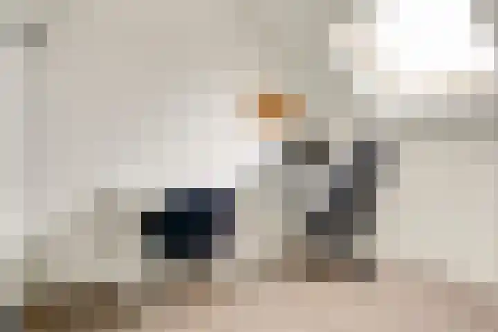 Stier 9 Elst thumbnail 25