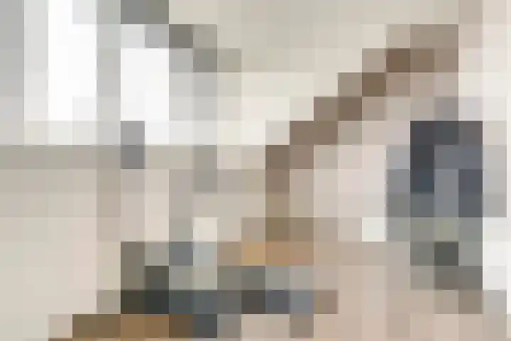 Stier 9 Elst thumbnail 26