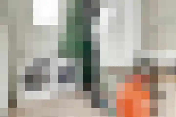 Stier 9 Elst thumbnail 27