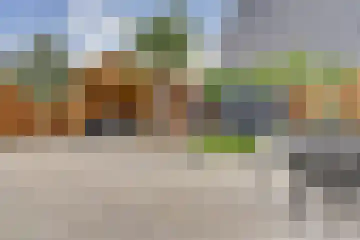 Stier 9 Elst thumbnail 28