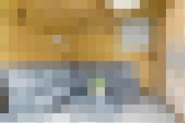 Stier 9 Elst thumbnail 29