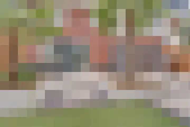Stier 9 Elst thumbnail 31
