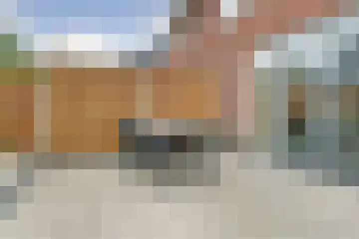 Stier 9 Elst thumbnail 33