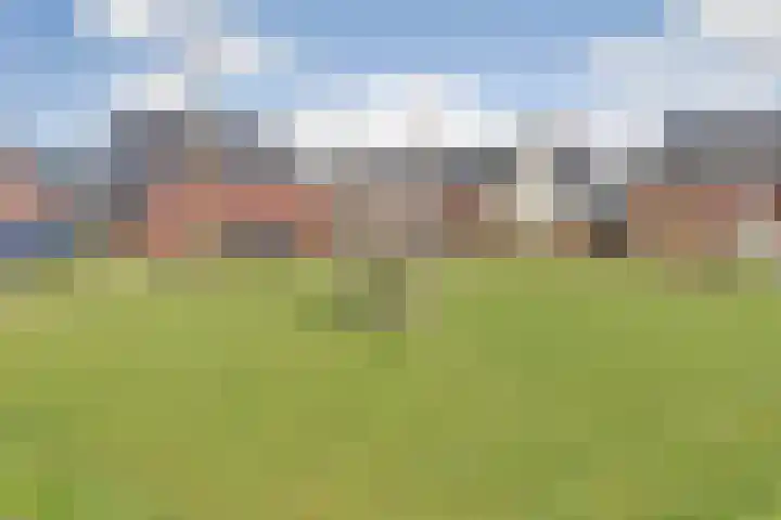 Stier 9 Elst thumbnail 35