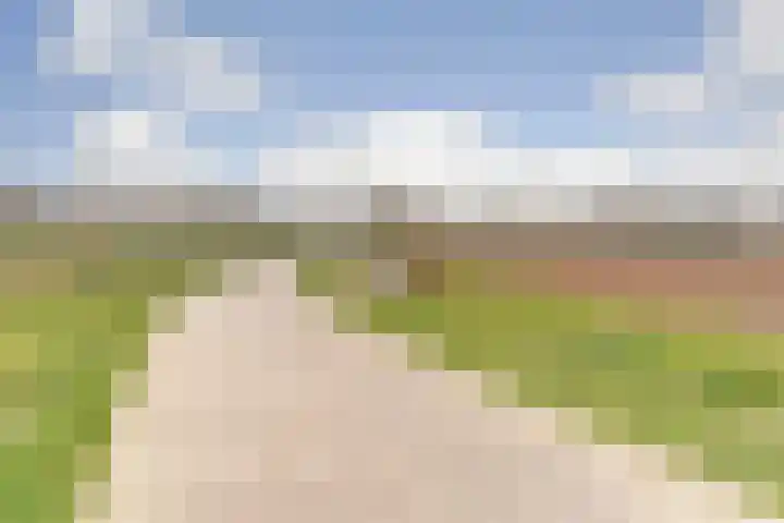 Stier 9 Elst thumbnail 36