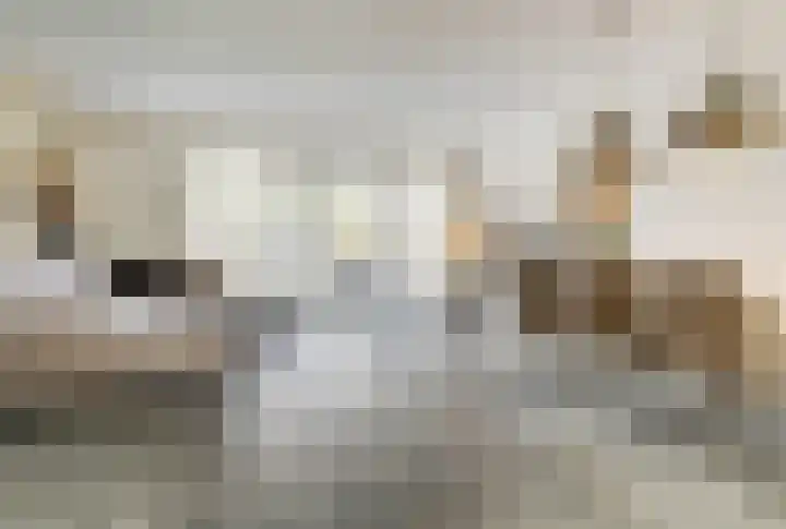 Stier 9 Elst thumbnail 4