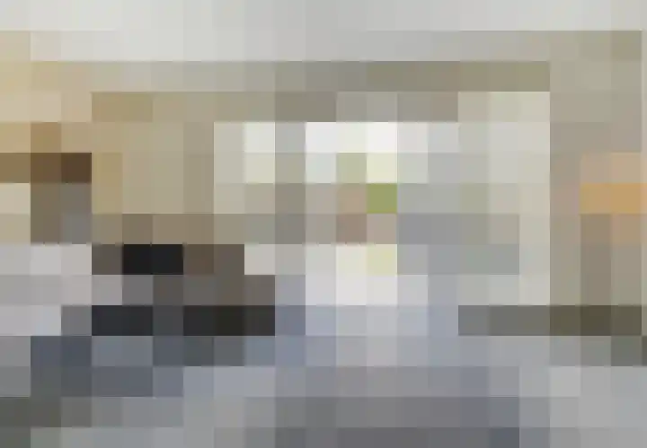 Stier 9 Elst thumbnail 5