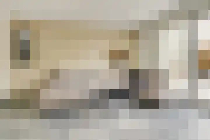 Stier 9 Elst thumbnail 6