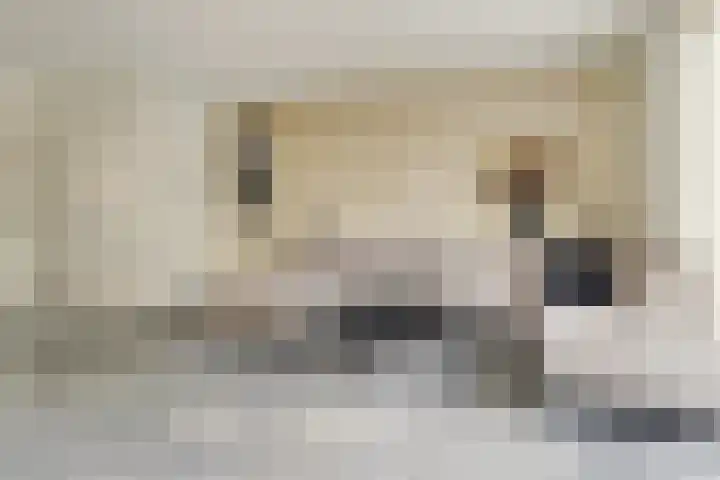 Stier 9 Elst thumbnail 7
