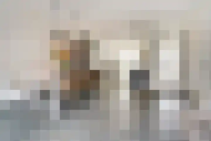 Stier 9 Elst thumbnail 9