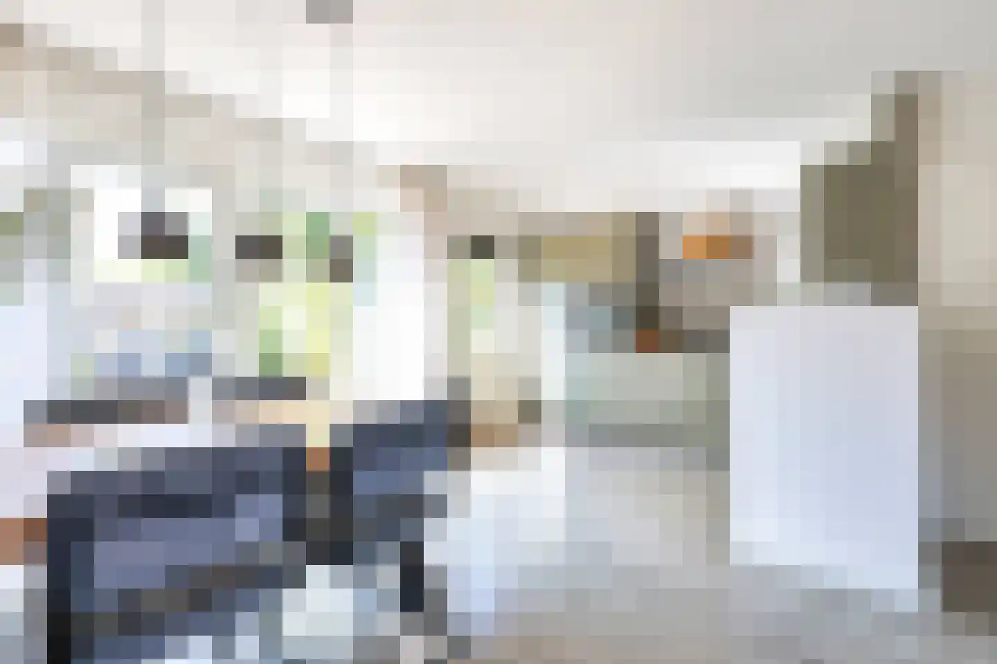 Stiermarkenweg 8 Alkmaar thumbnail 11