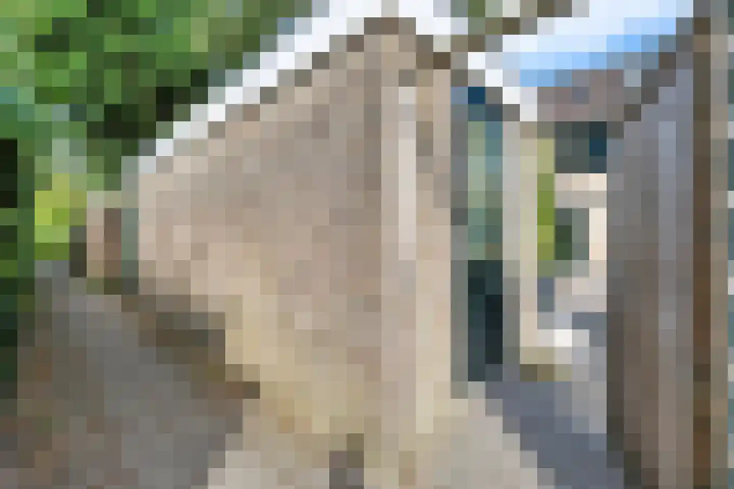 Stiermarkenweg 8 Alkmaar thumbnail 14