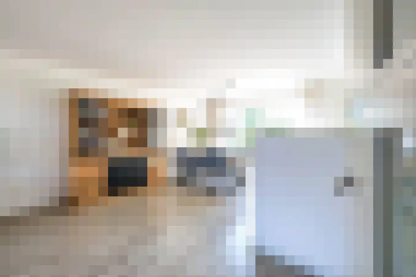 Stiermarkenweg 8 Alkmaar thumbnail 9