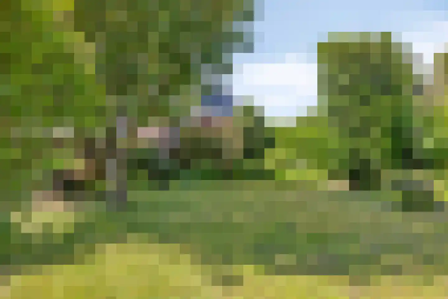 Stiftstraat 20 Molenhoek thumbnail 31