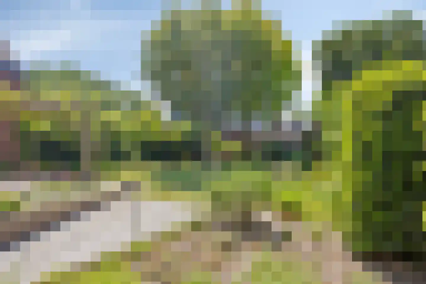 Stiftstraat 20 Molenhoek thumbnail 37