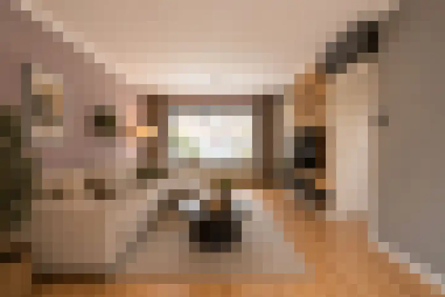 Stiftstraat 7 Landgraaf thumbnail 5