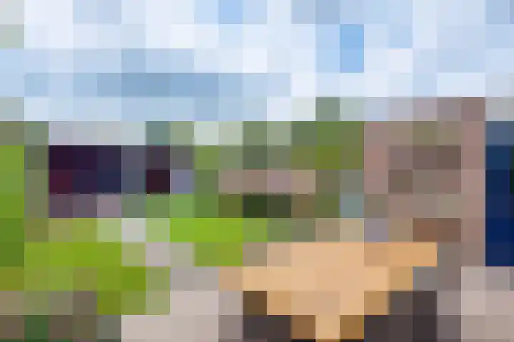 Stiggoor 36 Lochem thumbnail 23