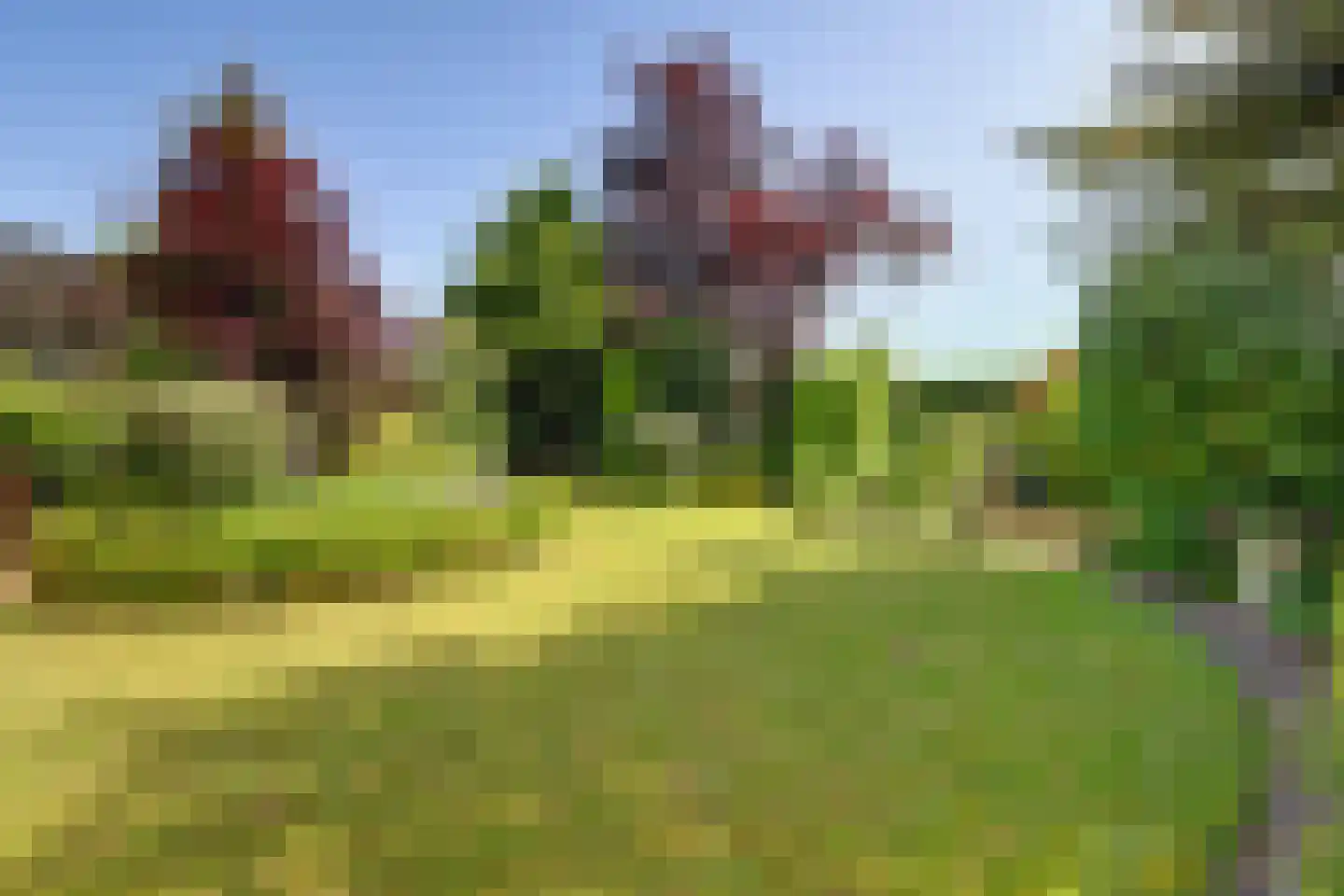 Stiggoor 89 Lochem thumbnail 24