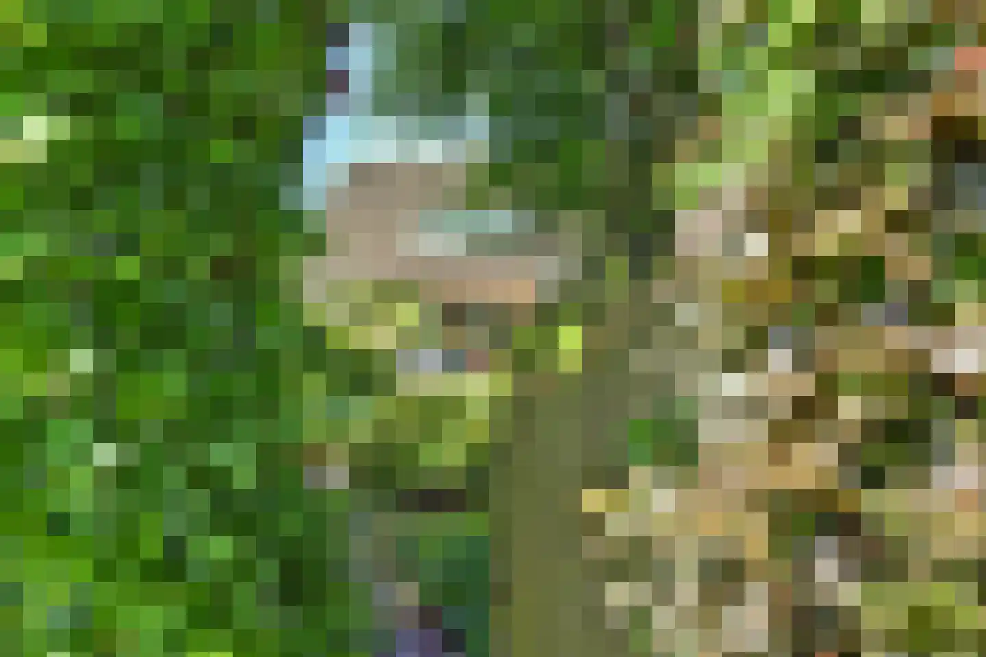 Stiggoor 89 Lochem thumbnail 27