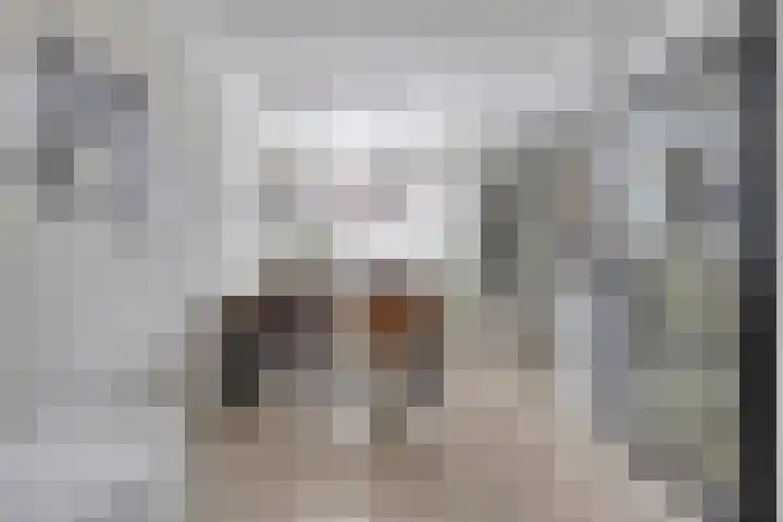 Stijgbeugel 100 Zwaag thumbnail 13