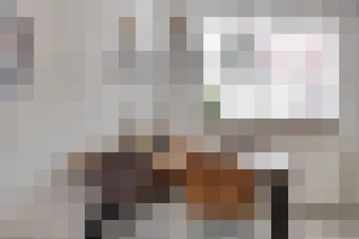 Stijgbeugel 100 Zwaag thumbnail 14